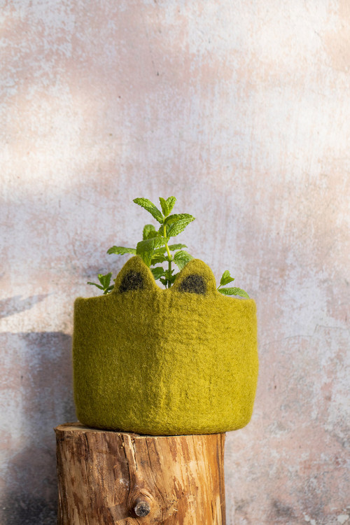 KITTY PASU BASKET - Last chance