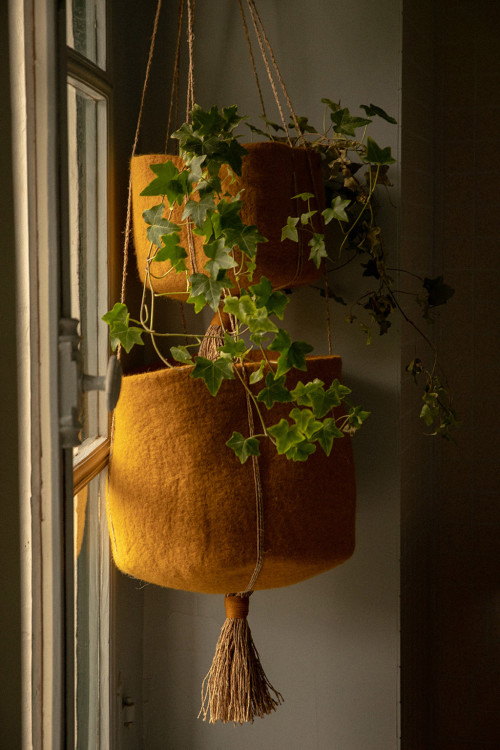 PANIER KANGOUROU - Dernière Chance