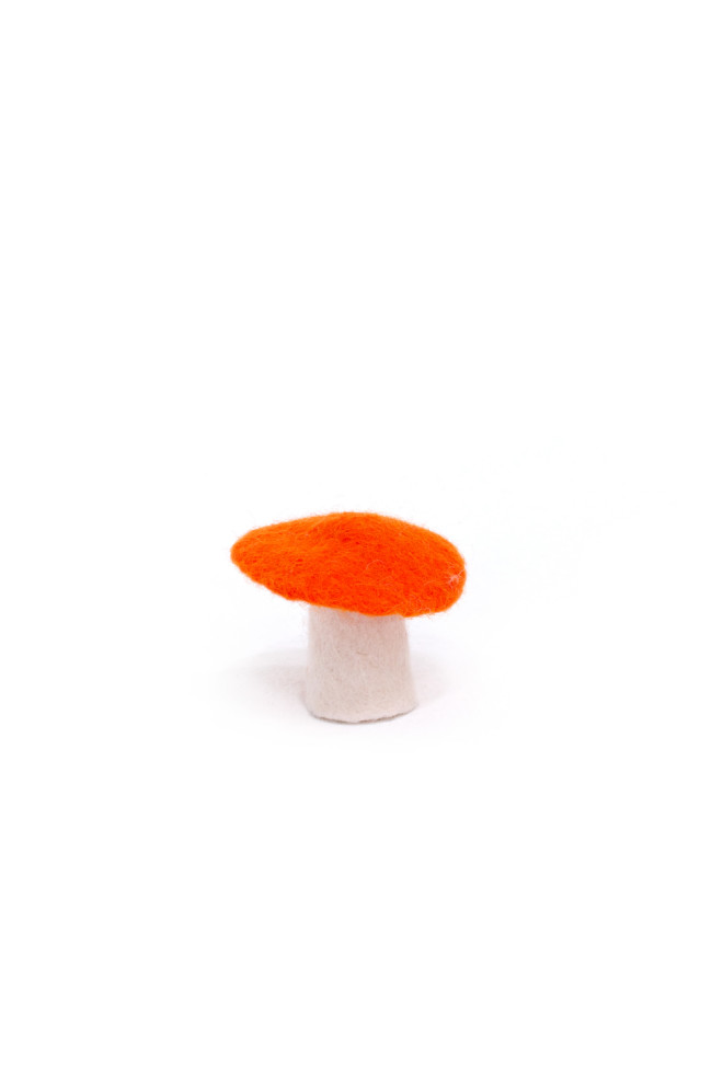 CHAMPIGNON - Dernière chance