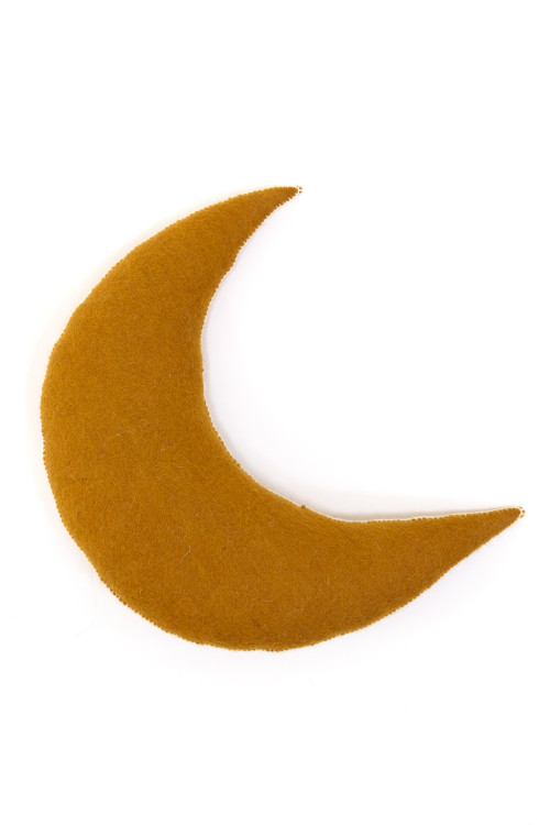 COUSSIN LUNE