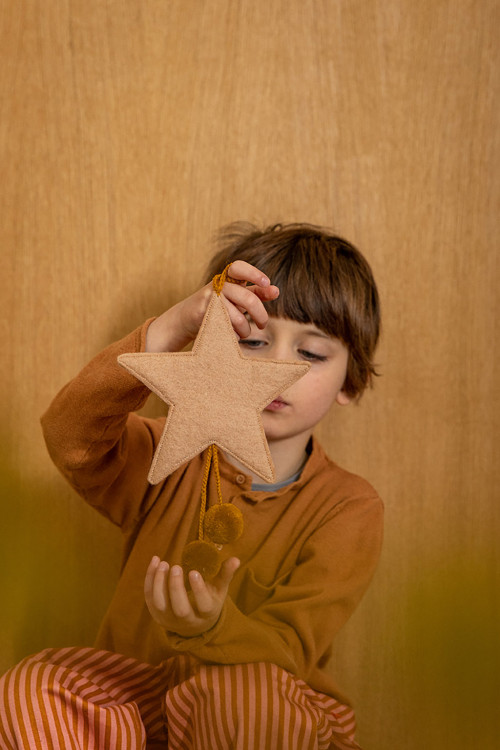 POMPOMS STAR HANGING