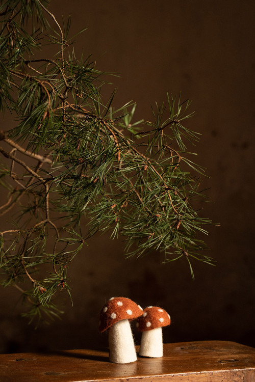 DOTTY