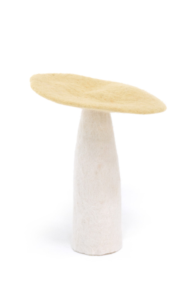 CHAMPIGNON - Dernière chance