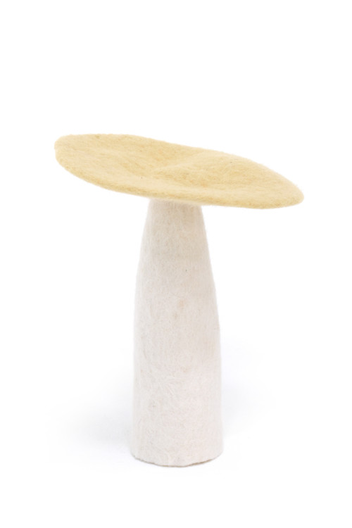 MUSHROOM - Last chance