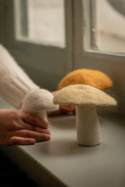 MUSHROOM - Last chance
