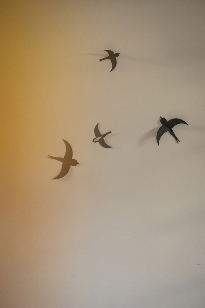 Nepalese paper swallows