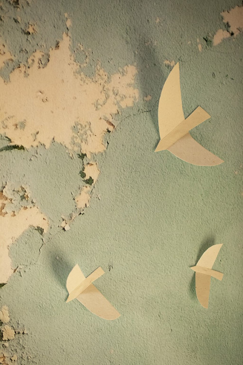SEA BIRDS
