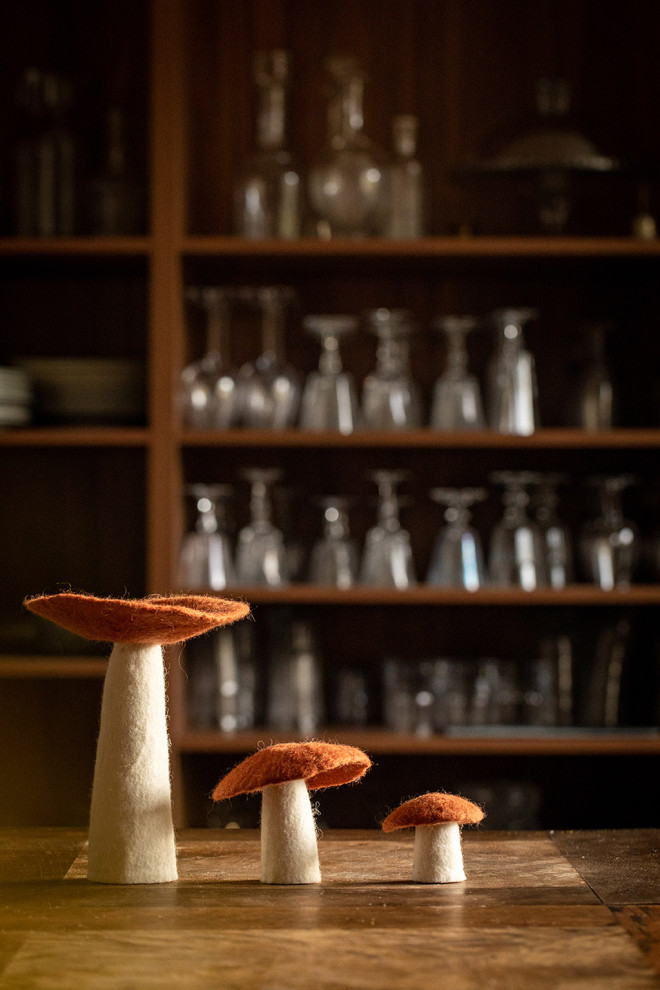 MUSHROOM XL - Bazaar