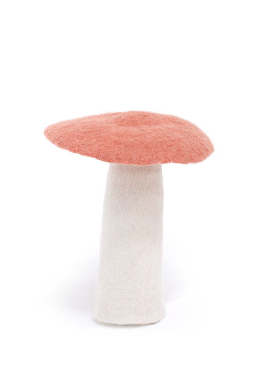 CHAMPIGNON XL - Bazar