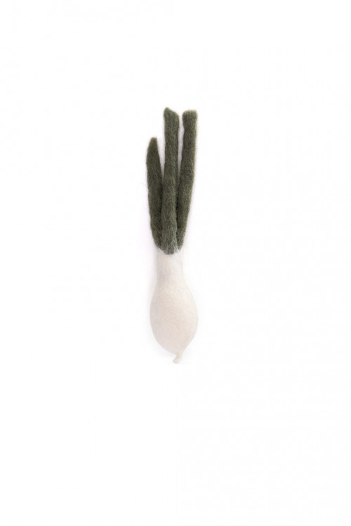 spring onion in felt