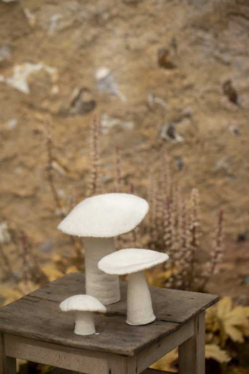 PILZ