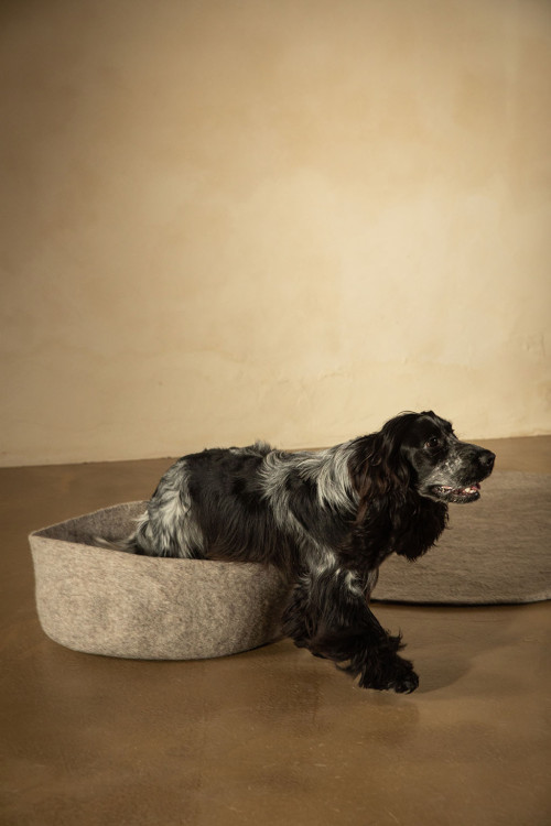 HONDENMAND VOOR KLEIN HONDJE
