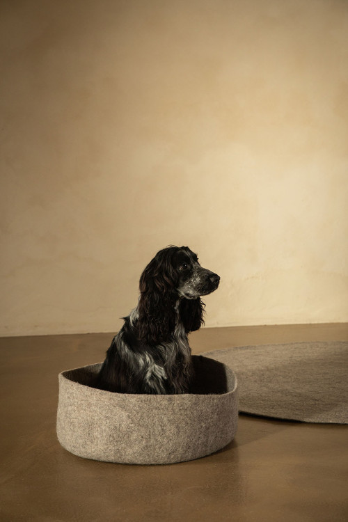 PANIER POUR PETIT CHIEN - Dernière chance