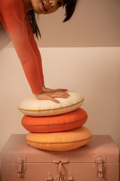 COUSSIN SMARTIES - Dernière chance
