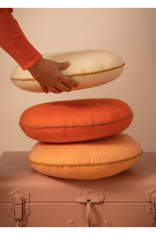 COUSSIN SMARTIES - Dernière chance