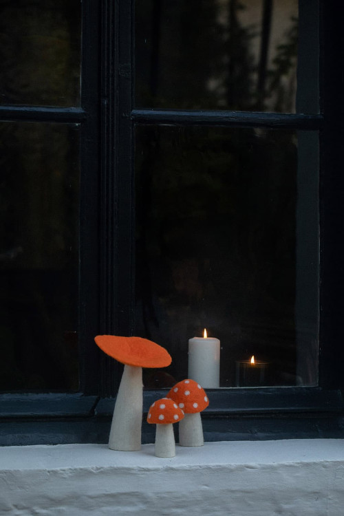 DOTTY - Letzte chance