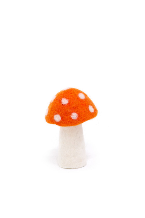 DOTTY - Dernière chance