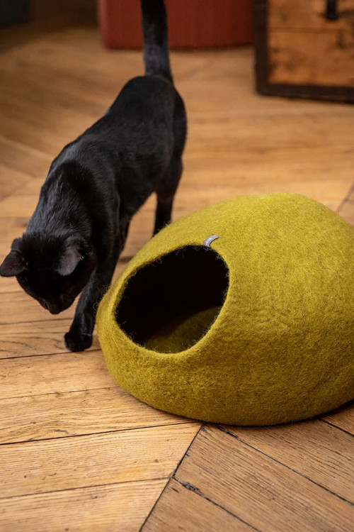 CAT BASKET