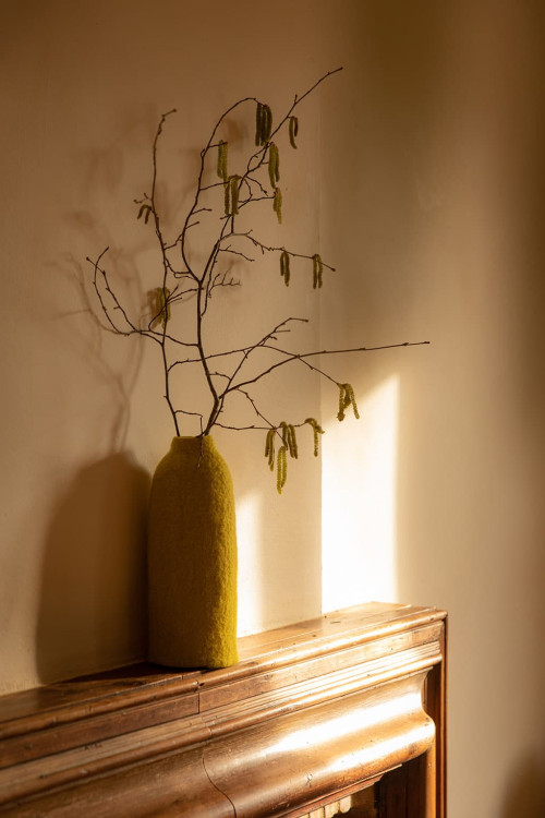 CACHE-VASE CLOCHE UNI