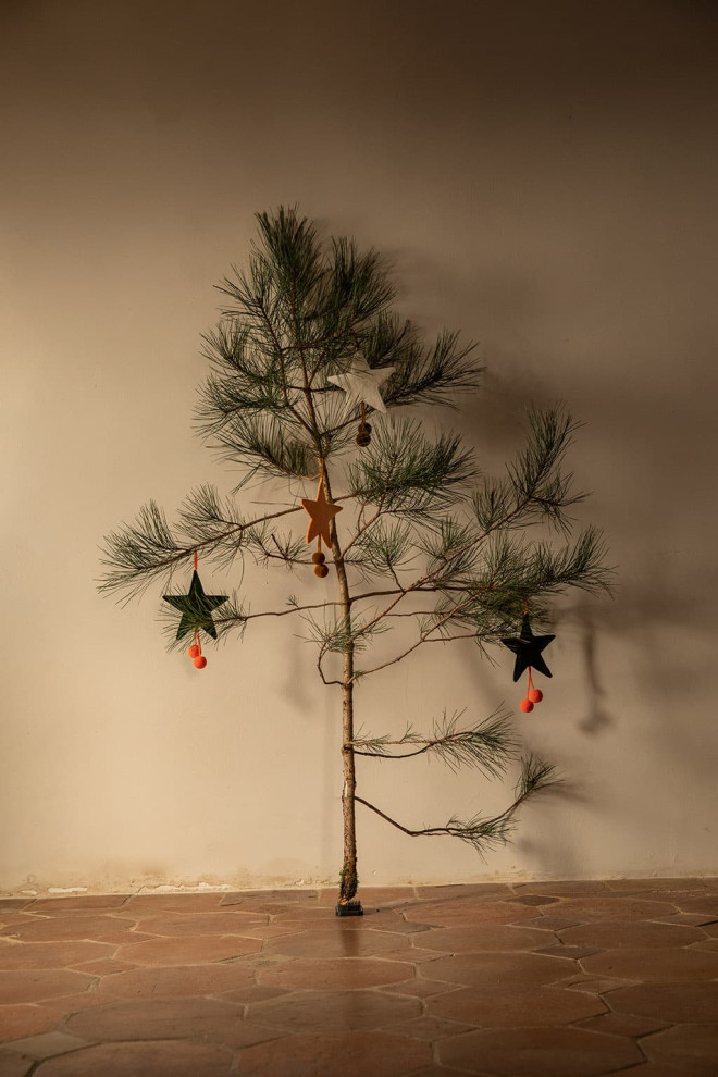 POMPOMS STAR HANGING