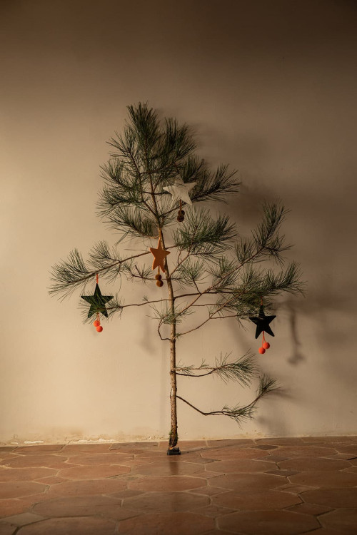 POMPOMS STAR HANGING