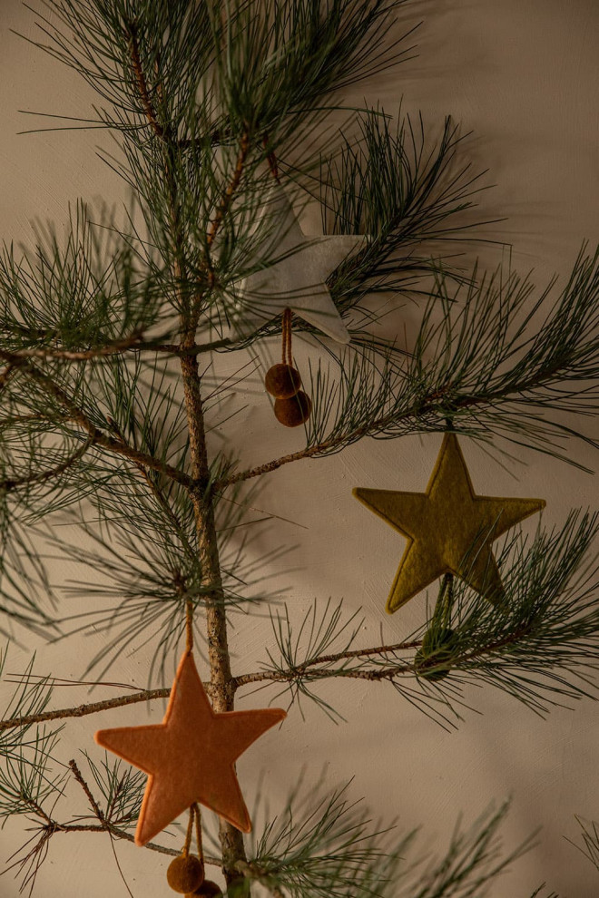 POMPOMS STAR HANGING
