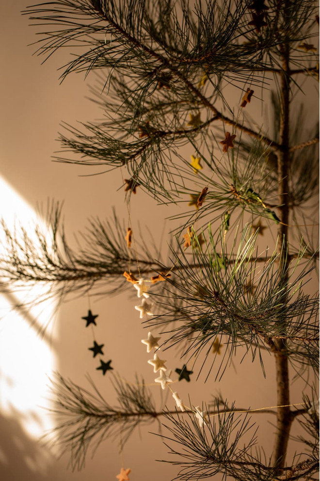 GUIRLANDE MALLA ÉTOILES