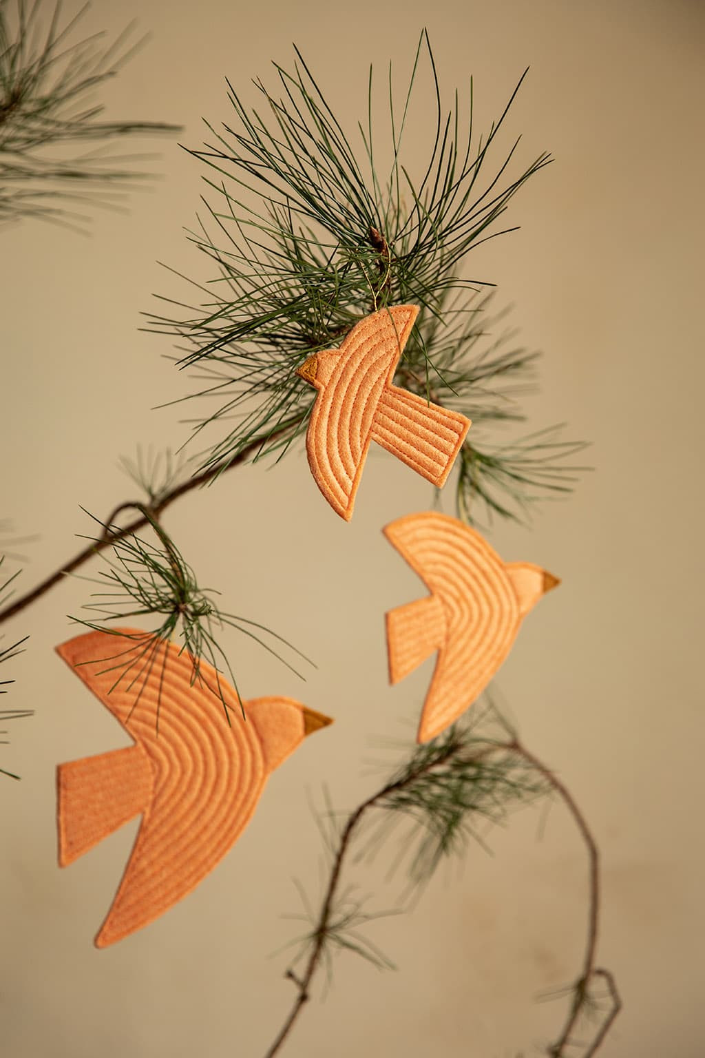 BIRDY TRIO TO HANG