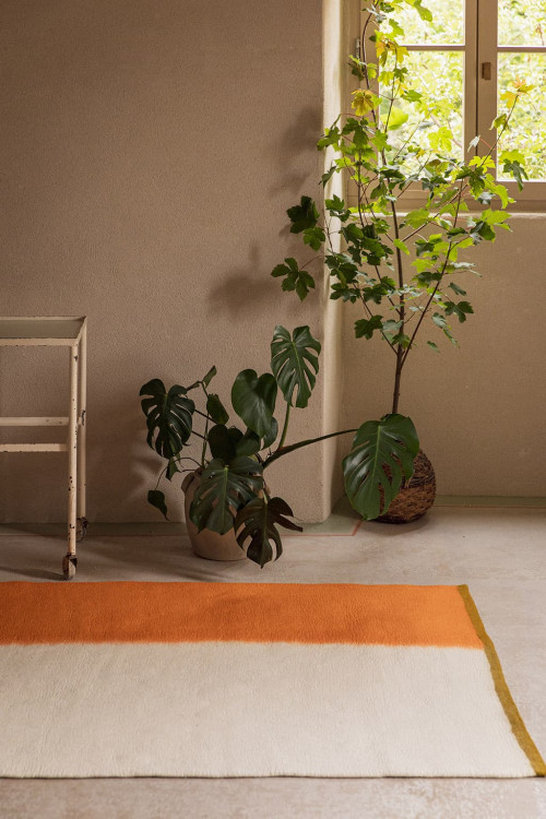 TAPIS KASKO - Dernière chance