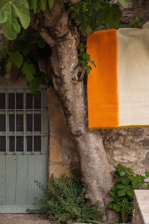 KASKO TEPPICH - Letzte chance