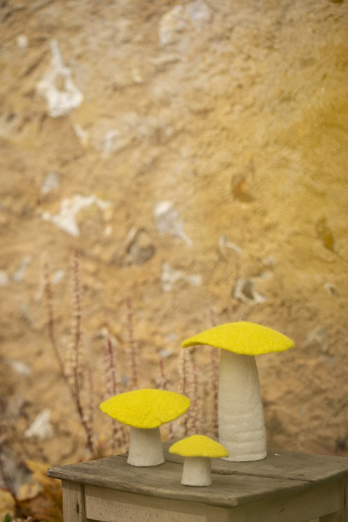 CHAMPIGNON S - Bazar