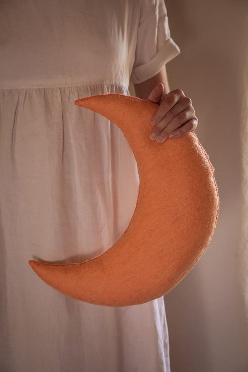 COUSSIN LUNE - Dernière chance