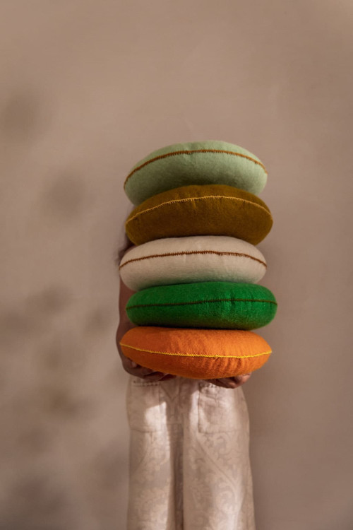 COUSSIN SMARTIES - Dernière chance