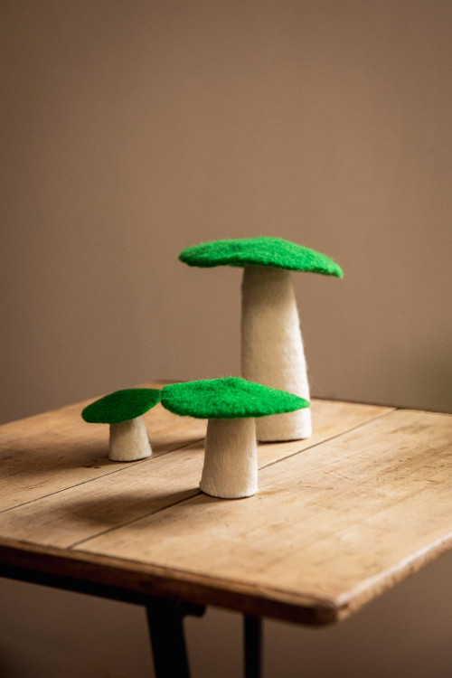 MUSHROOM - Last chance