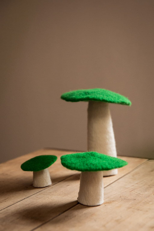 CHAMPIGNON - Dernière chance