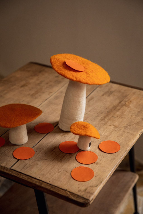 MUSHROOM - Last chance