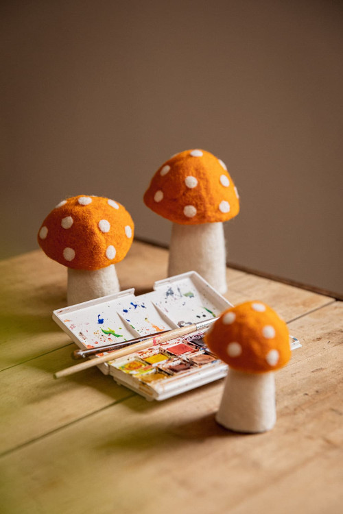 DOTTY - Dernière chance