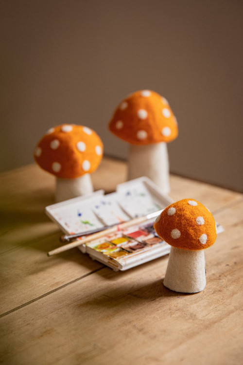 DOTTY - Dernière chance