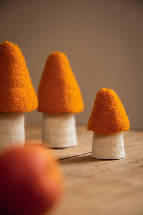 MORILLE - Dernière chance