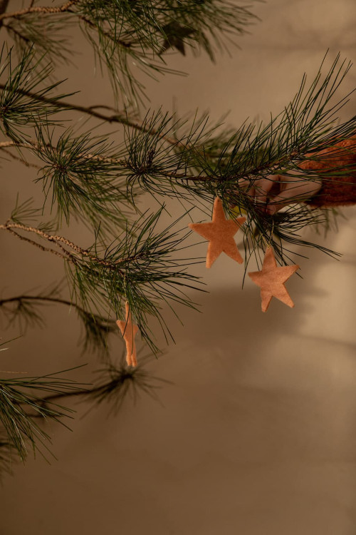 SET OF 6 HANGING STARS