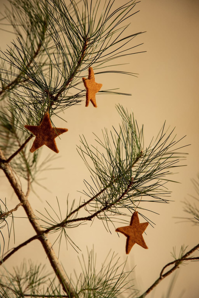 SET OF 6 HANGING STARS