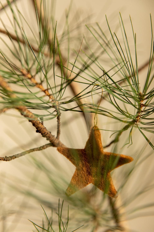 SET DE 6 ÉTOILES DE FÊTE