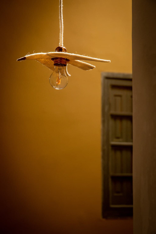 Touche poétique avec cette suspension lumineuse oiseau