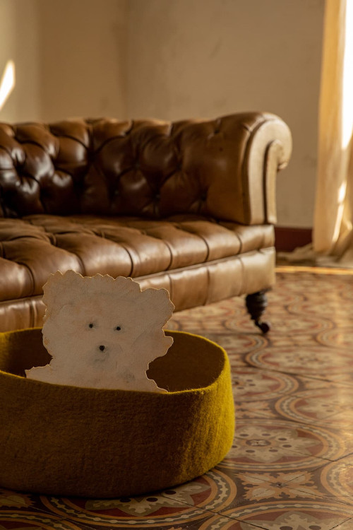 PANIER POUR PETIT CHIEN