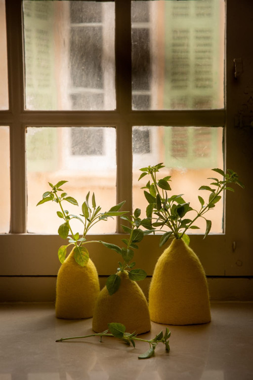 SET 3 CACHE-VASES CLOCHETTES