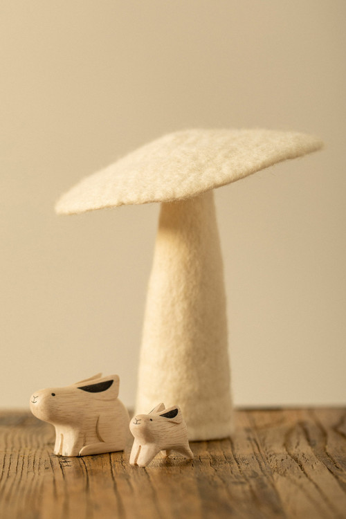 CHAMPIGNON