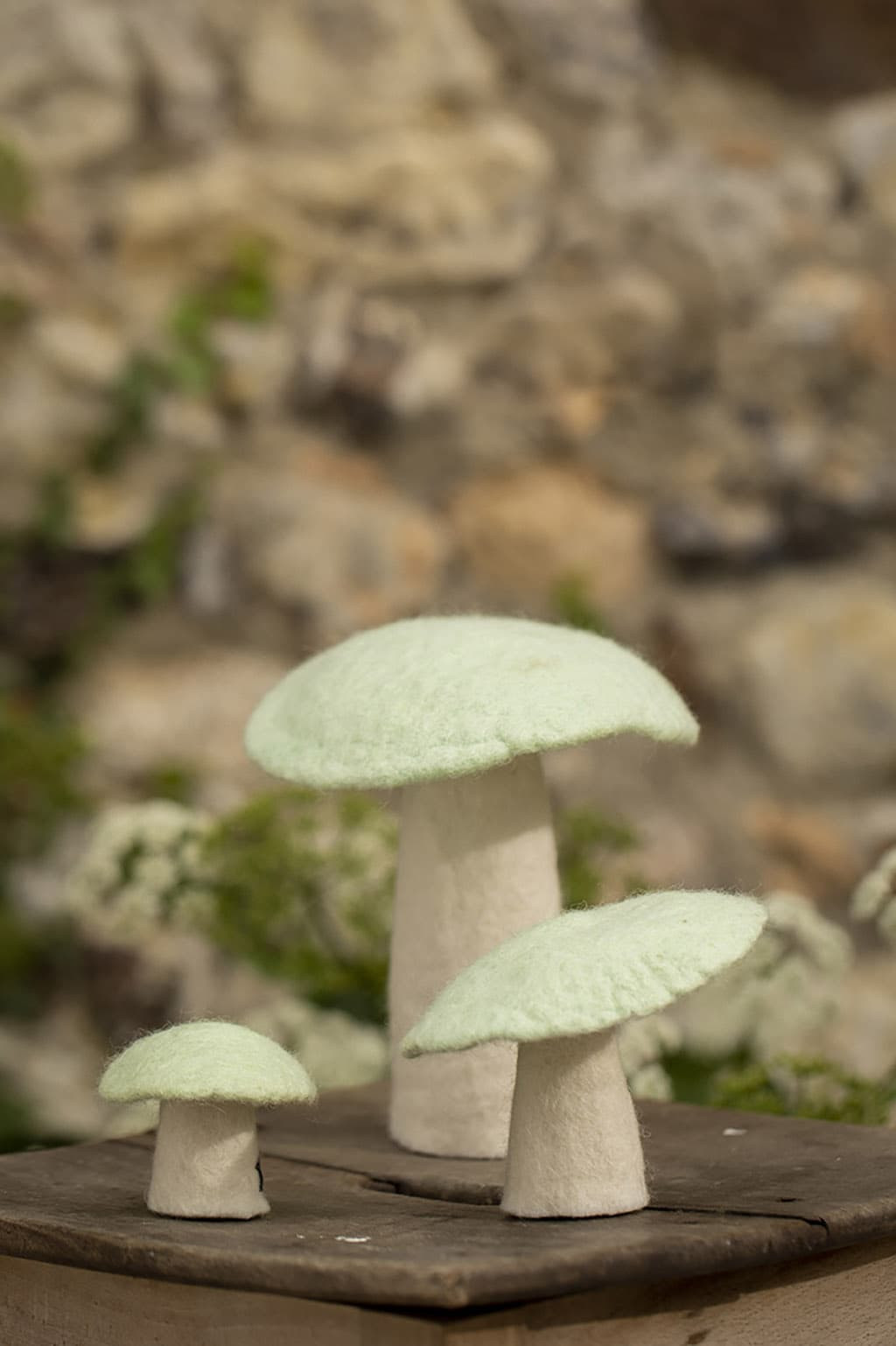 CHAMPIGNON