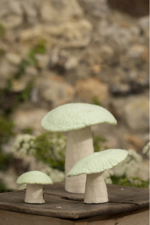 MUSHROOM