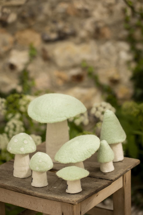 MUSHROOM