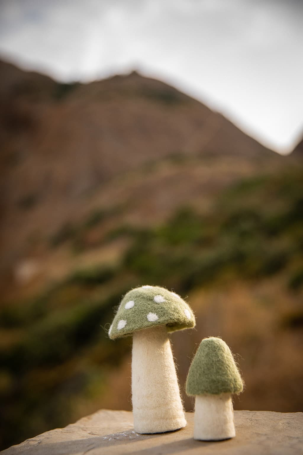 MOREL